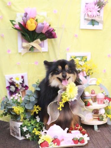 20230308アンバーちゃん